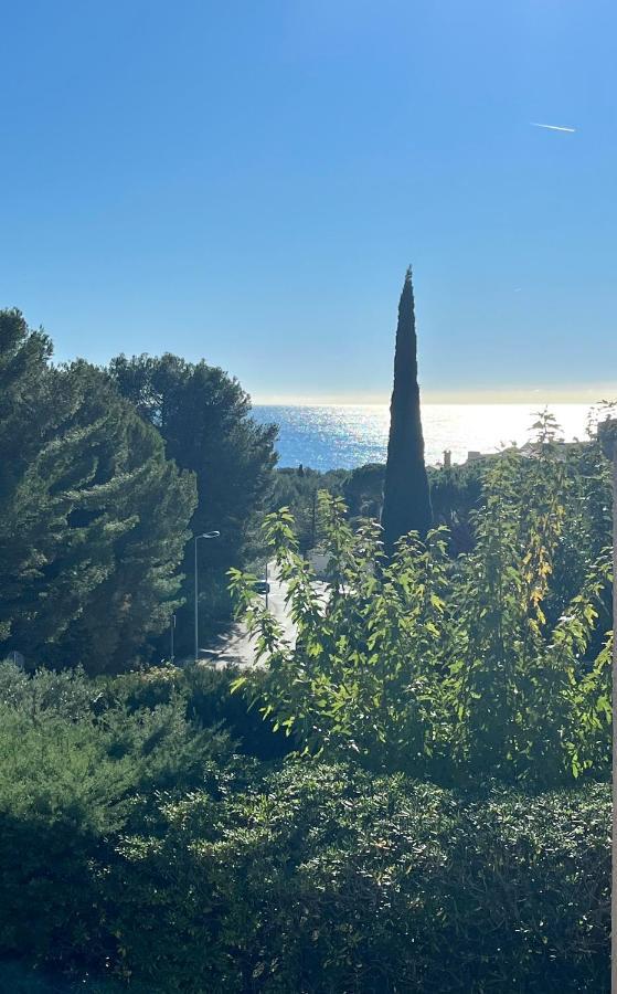 Bord De + Piscine Apartment Sausset-les-Pins